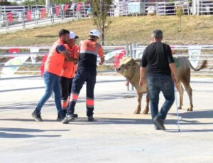 “Kurban yakalama timi” vazifeye hazır