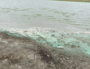 İstanbul’un su kaynağında korkutan görüntü!